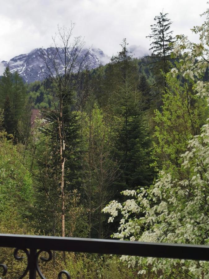 Apartament Ski-bówki Zakopane